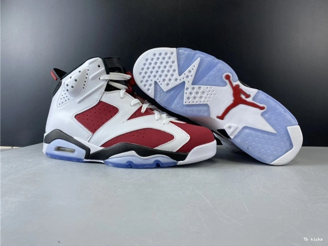 Cheap TBK AIR 2014 JORDAN 6 384664-160 'CARMINE' RETRO 0718